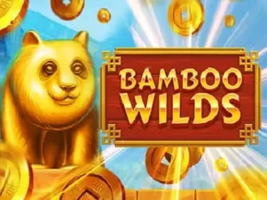 WildTornado Casino screenshot